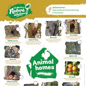Animal home spotter guide for kids – Nature Detectives