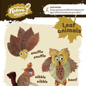 Leaf animals – Nature Detectives