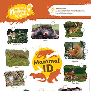 Animal identification - Woodland Trust