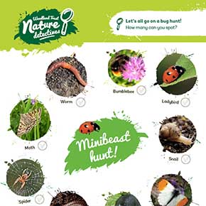 SMALL NATURE SPOTTER SHEETS,PERFECT FOR BUG HUNTS & POND DIPPING