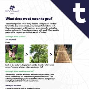 Tree Tools for Schools - Woodland Trust