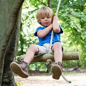 Tree Tools for Schools - Woodland Trust